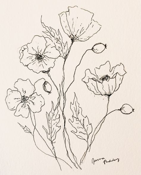 Floral Sketches Simple, Poppies Line Drawing, California Poppies Drawing, Cute Sketches Flowers, Flower Drawing Poppy, Poppy Ink Drawing, Vintage Poppy Illustration, Poppy Flower Drawing Tattoo, Poppyseed Flower Tattoo