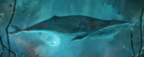 Song of the Sea - whale (800×320) Why Song, Underwater Background, Sea Whale, Song Of The Sea, Septième Art, Animation Film, Animated Movies, Sea Creatures, The Ocean