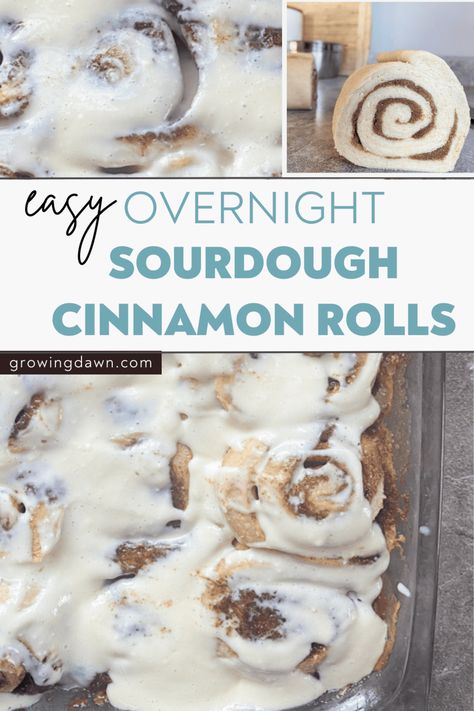 Elevate your morning with the enticing aroma of overnight sourdough cinnamon rolls. Dive into this easy step-by-step recipe for soft, fluffy perfection. These heavenly swirls of cinnamon goodness are a game-changer and can be made ahead for a special holiday or occasion. Pin for a delicious morning tomorrow! 📌🍽️ #SourdoughCinnamonRolls #OvernightBaking Sourdough Cinnamon Roll, Overnight Sourdough, Overnight Cinnamon Rolls, Recipe Using Sourdough Starter, Sourdough Cinnamon Rolls, Overnight Recipes, Rolls Easy, Cinnamon Roll Recipe, Sourdough Starter Discard Recipe