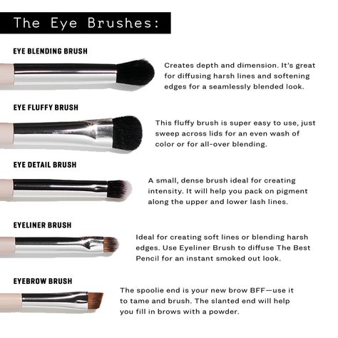 Eyeshadow Brushes Guide Cheat Sheets, Eyeshadow Brushes Guide, Makeup Tutorial Foundation Flawless Face, Kate Talbert, Makeup Utensils, Jones Road, Makeup Life Hacks, Makeup Pictorial, Makeup Tutorial Foundation