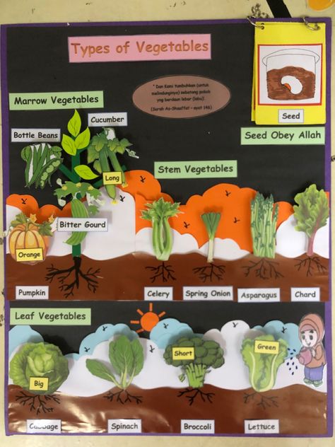 Types Of Plants Project For Kids, Vegetables Chart For Kids, Stem Vegetables, Animal Costumes Diy, Plants Craft, Maths Working Wall, Vegetable Chart, Decoration Classroom, Preschool Charts