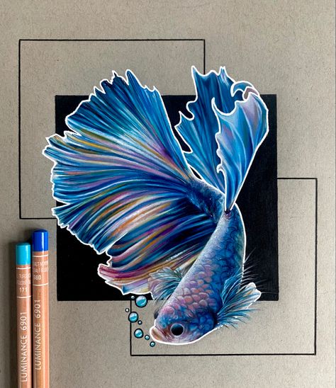 Fish Color Pencil Drawing, Realistic Fish Drawing, Pencil Color Drawing Easy, Color Pencil Art Realistic, Pencil Colour Art, Colour Pencil Art, Easy Drawing Step By Step, Drawn Fish, Fish Drawing