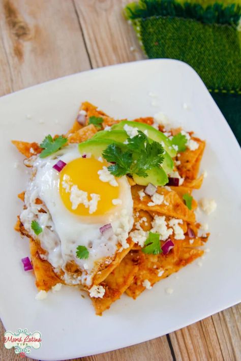 Red Chilaquiles Recipe Chiliquillas Recipe With Chips, Red Chilaquiles Recipe, Mexican Food Recipes Appetizers, Chilaquiles Recipe, Quick Family Dinners, Red Salsa, Homemade Mexican, Mexican Breakfast, Tortilla Recipe