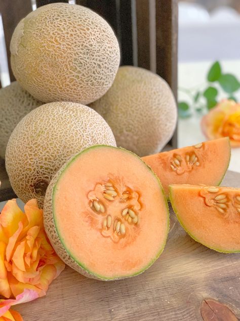 Cantaloupe Grapefruit Vodka Martini | California Grown Cantelope Fruit Aesthetic, Cantelope Fruit, Cantaloupe Aesthetic, Cantaloupe Photography, Benefits Of Cantaloupe, Cantelope Melon, Cantaloupe Cocktail, Cantaloupe Pictures, Mexican Cantaloupe Drink