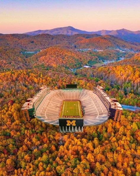 Michigan Stadium nestled in the colorful foliage of Ann Arbor 🍂 #goblue #michiganfootball Oakland University Michigan, Michigan In The Fall, Michigan Ann Arbor, University Of Michigan Ann Arbor, U Of Michigan, U Of M Aesthetic, Ann Arbor Aesthetic, Ann Arbor Michigan Aesthetic, Michigan State University Aesthetic