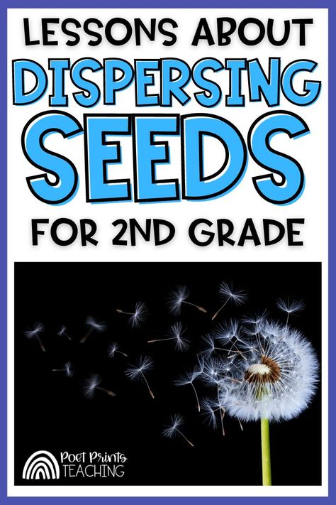 Learning about seed dispersal is an important part of any 2nd and 3rd grade science curriculum. Use this exciting set of activities to teach your students about how seeds disperse. They can explore examples of seed dispersal through a fun STEM challenge and learn more in these kid-friendly Youtube videos. With this set of activities, your students will gain an understanding of the many ways seeds disperse and the importance of the process. Seed Dispersal Activity, 2nd Grade Science Lessons, Science 2nd Grade, Fossil Activities, Seed Activities For Kids, Botany Study, Homeschooling First Grade, First Grade Projects, Fossils Activities