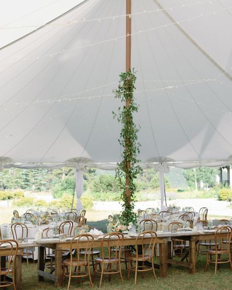 Considering a tented reception? PSA that all tents are nooootttt created equal. Sailcloth? walls? pole covers? draping? lighting? flooring?! So much to consider. DM us for our input if you’re feeling lost on what route you should go for this big ticket item on your wedding checklist 🏳️ Planning + Design | @curatedenver Venue + Catering | @greystonecastleboulder Beverage | @cocktailcaravanco Photography | @mckenziecoylephotography Floral | @figmentfloral Rentals | @copartyrentals Music | @dan... Tent Pole Greenery, Tent With Draping, Tented Reception, Vintage Colour Palette, Tent Reception, Sailing Outfit, Wedding Checklist, Feeling Lost, Vintage Colors