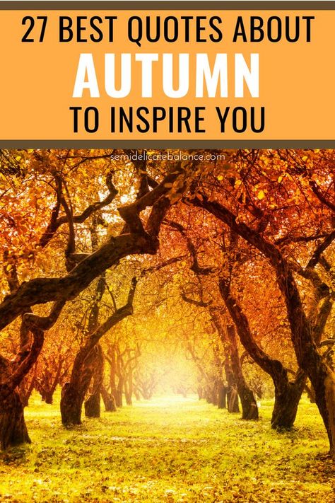 25 Best Autumn Quotes, Messages, and Sayings For The Fall Season #autumnquotes #autumnquotesandsayings #fallquotes #fallquotes #octoberquotes Quotes For Fall Season, Fall Sayings Quotes Autumn, Fall Inspiration Quotes, September Quotes Autumn, Quotes For Fall, Quotes About Autumn, Quotes About Fall, Fall Quotes And Sayings, Fall Quotes Autumn