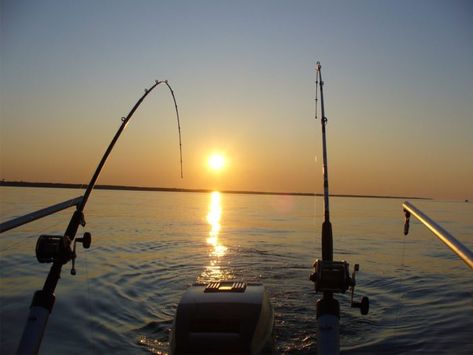 Dusk Time, Maintenance Free Deck, Fishing Pictures, Boat Lift, Fort Myers Beach, Fishing Rods, Gone Fishing, Going Fishing, White Sand Beach