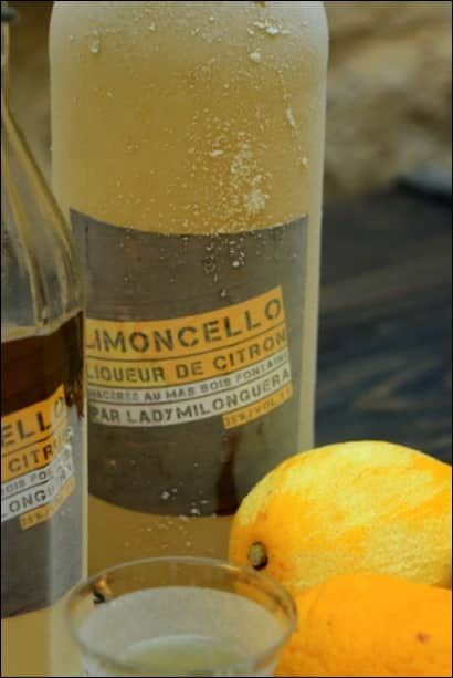 Limoncello maison, liqueur de citron – recette à base d’alcool pour fruits Pie Iron, Last Dinner, Coffee Obsession, 15 Minute Meals, French Cooking, Triple Sec, 30 Minute Meals, Cookbook Recipes, Nonfiction Books