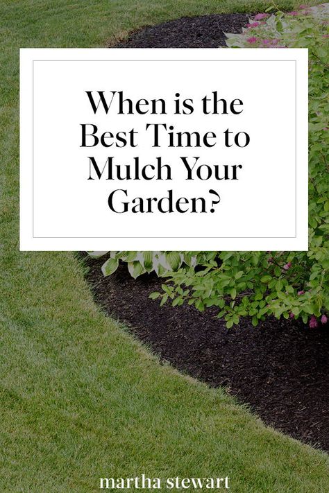 How To Lay Mulch Down, Mulch Garden Ideas, Mulch Alternatives, Garden Mulch, The Off Season, Growing Greens, Yard Landscape, Timing Is Everything, Outdoor Plant