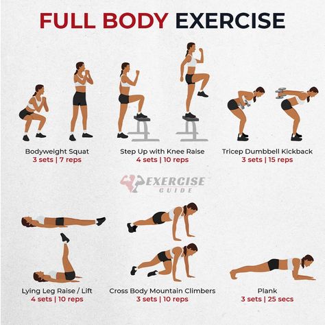 Full-body exercises for a complete workout! 💪 #fitness #workoutathome #fullbody Extreme Full Body Workout, Full Body Intense Workout, Workout Guide Women, Abc Workout, Workouts To Tone, Full Body Exercises, Posterior Chain, Complete Workout, Major Muscle Groups