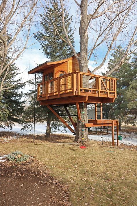 Stargazer — Treecraft Design-Build Custom Treehouses Diy Treehouse, Tree House Interior, Kids Tree, Skate Ramps, Tree House Plans, Tree House Diy, House With Balcony, Tree House Kids, Two Trees