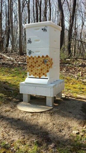 Painted Bee Hives, Bee Hives Boxes, Bee Hive Plans, Backyard Bee, Raising Bees, Backyard Beekeeping, Buzzy Bee, Honey Bee Hives, Bee Boxes