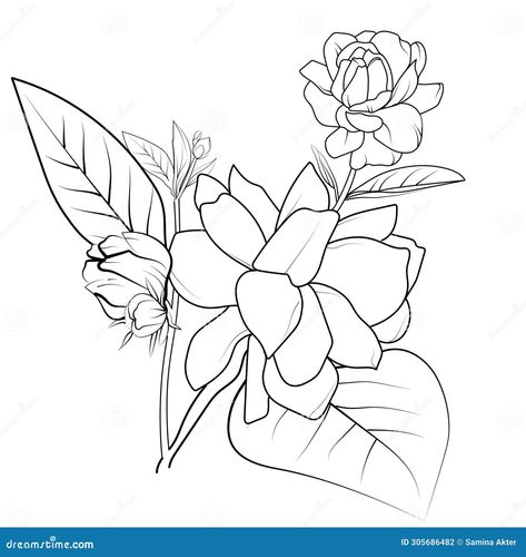 easy jasmine flower, sketch jasmine flower drawing, tattoo jasmine flower drawing, outline jasmine flower tattoo, simple jasmine flower tattoo, minimalist jasmine flower tattoo, white jasmine flower drawing, realistic jasmine flower drawing Jasmine Flower Drawing Tattoo, Jasmine Flower Sketch, Flower Drawing Outline, Jasmine Flower Drawing, Flower Drawing Tattoo, Flower Tattoo Simple, Jasmine Flower Tattoo, Pencil Sticker, Tattoo White