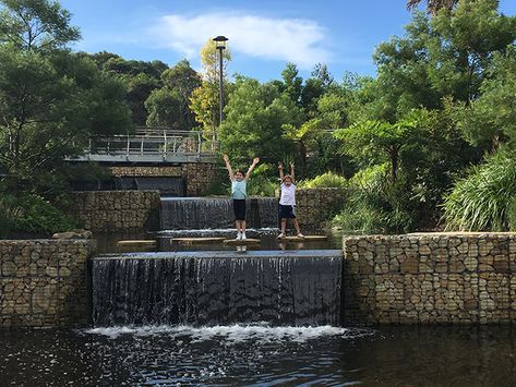 Sydney Park - a vibrant recreation and environmental asset for Sydney | Turf Design, Sydney Park, Importance Of Water, Urban Design Architecture, Outdoor Structure, Design Blogs, American Architecture, Water Management, Water Element