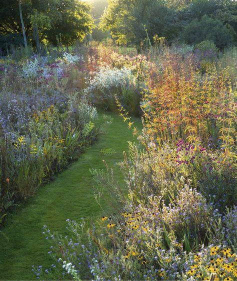 Prairie Planting, Prairie Garden, Wild Flower Meadow, Meadow Garden, Garden Types, Have Inspiration, Wildflower Garden, Great Plains, Natural Garden