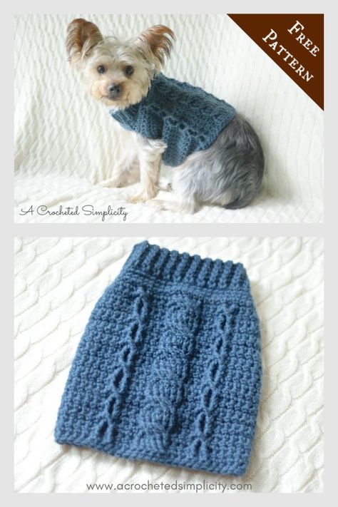 Crochet Dog Sweater Free Pattern, Crocheted Dog, Kat Haken, Crochet Dog Clothes, Dog Sweater Crochet Pattern, Dog Sweater Pattern, Pet Sweaters, Small Dog Sweaters, Crochet Dog Patterns