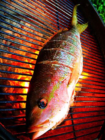 Grilled Yellowtail Snapper with Pineapple Mango Salsa Grilled Snapper, Grill Fish, Grilled Snapper Fish Recipes, Whole Tilapia Recipes, Grilled Pompano Fish Recipe, Grilled Red Snapper Filet Recipes, Yellowtail Snapper Recipe, Grilled Fish With Mango Salsa, Snapper Fish Recipes