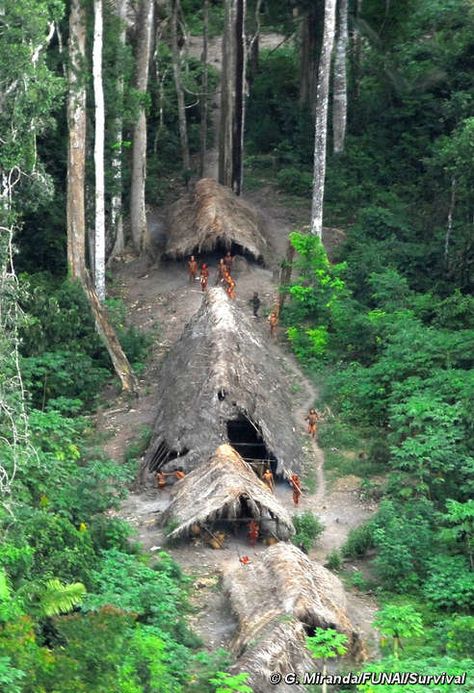 Uncontacted Indians in the Brazilian Amazon, May 2008. Many are under increasing threat from illegal logging over the border in Peru. North Sentinel Island, Living In Brazil, Indigenous Tribes, Amazon Rainforest, People Of The World, Bolivia, National Geographic, Ecuador, South America