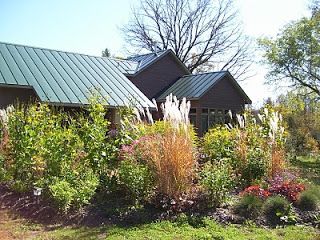 creative ways to enclose your leach field - Google Search Septic Mound Landscaping, Talking To Plants, Leach Field, Diy Septic System, Yard Drain, Fall Vegetables To Plant, Texas Landscaping, Naturalistic Garden, Attract Hummingbirds