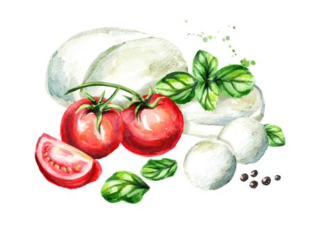 Ensalada Caprese, Best Italian Food, Italian Gifts, Food Sketch, Food Rules, Watercolor Food, Food Painting, Best Italian Recipes, Hand Drawn Illustration