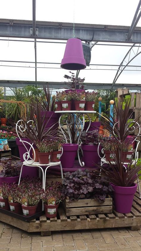 Garden Huts, Pot Display, Garden Center Displays, Garden Nursery, Garden Centre, Floral Ideas, Ceramic Pots, Garden Shop, Floral Display