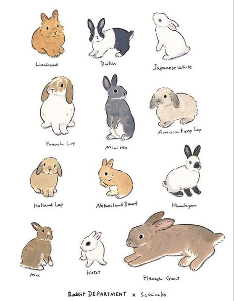 Schinako Moriyama, Bunny Mobile, Bunny Sketches, Bunny Tattoo, Bunny Watercolor, Rabbit Drawing, Bunny Tattoos, Cute Bunny Pictures, Rabbit Illustration