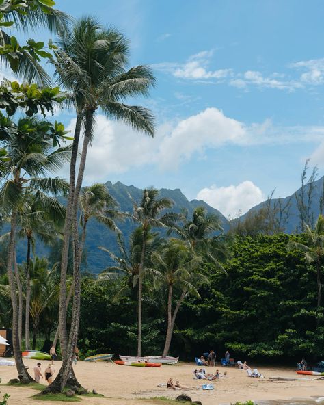 a day to myself / hanalei bay to poipu beach 〰️ #kauaihawaii #kauai #kauailife #cntraveler #sonyalphafemale #sonyalpha Poipu Beach, Hanalei Bay, Kauai Hawaii, Kauai, Quick Saves