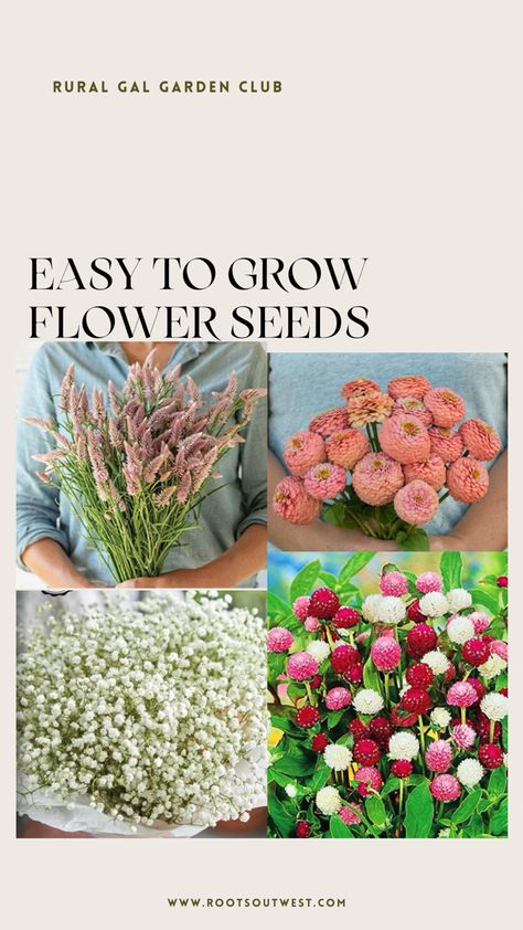 Bright colorful flowers that you can easily grow from seed. Flower garden. Filler Plants For Cut Flower Garden, How To Plant Flowers For Beginners, Cut And Come Again Flowers, Small Cut Flower Garden Layout, Cut Flower Garden For Beginners, Flower Garden For Beginners, Cut Flowers To Grow, Flower Garden Layouts, Garden For Beginners