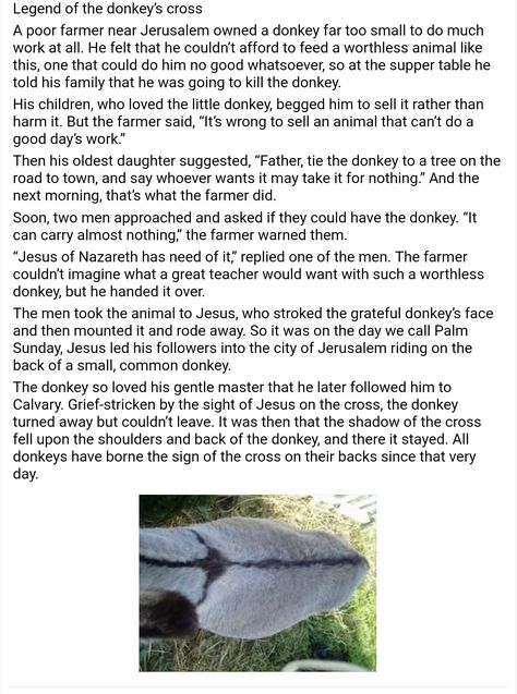 Legend of the donkey's cross Legend Of The Donkey's Cross, The Talking Donkey Bible Story, Donkey Cross On Back, Cross Quotes, Christmas Donkey, Miniature Donkey, God Is Amazing, Bible Study Methods, Christmas Poems