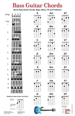 Bass Chord Chart Bass Guitar Notes, Bass Guitar Scales, Learn Bass Guitar, Bass Guitar Chords, Guitar Cord, Music Theory Guitar, Guitar Notes, Bass Guitar Lessons, Guitar Fretboard