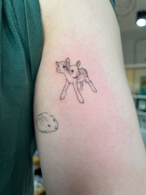 Two Headed Sheep Tattoo, Two Headed Calf Tattoo Simple, Baby Calf Tattoo, Two Headed Calf Tattoo Poem, Cow Calf Tattoo, Double Headed Cow Tattoo, Double Headed Calf Tattoo, Lamb Tattoo For Women, Two Headed Lamb Tattoo