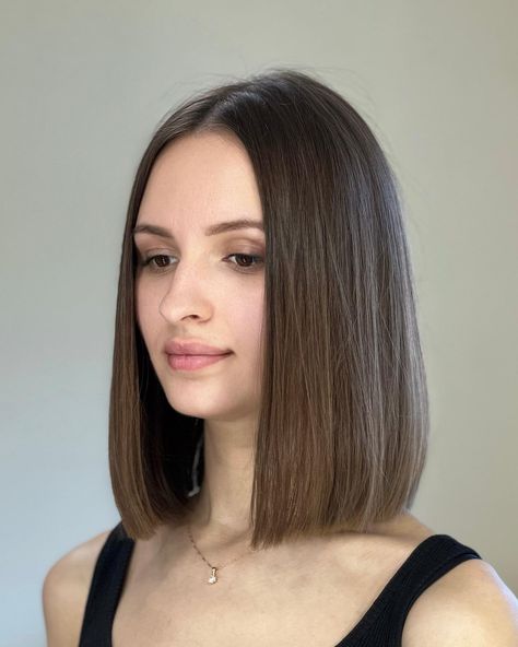 Bob Hairstyles Styling, Short One Length Haircut, Dark Brown Collarbone Length Hair, Long Sleek Bob Shoulder Length, Short Bob Dark Hair Straight, Dark Brown Long Bob Straight, Sleek Brunette Bob, Rebonded Hair, Neck Length Hair