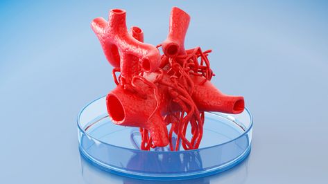 FDA inaction is holding back 3D bioprinting of transplantable organs - STAT Lund University, Tissue Engineering, Human Tissue, Robotic Automation, Personalized Medicine, Organ Transplant, Regenerative Medicine, Scientific Discovery, 3d Printing Technology