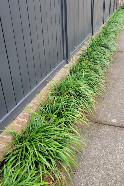 Plants Around Fence, Plants For Walkway, Plants Side Of House, Edging Along Sidewalk, Border Around House, Side Door Ideas Exterior, Plants For Edging Walkways, Driveway Border Ideas Plants, Walkway Planting Ideas