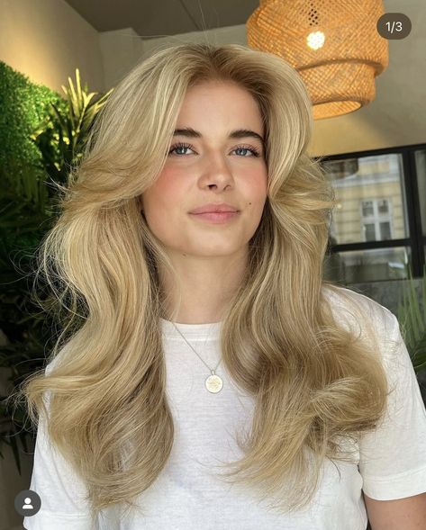 Ferra Faucet Hair 70s, Big Blonde Blowout, 70s Soft Layers, Warm Old Money Blonde, 90s Supermodel Blowout, Earthy Blonde Hair, 70s Glamour Hair, 70s Hollywood Hair, Blown Out Wedding Hair