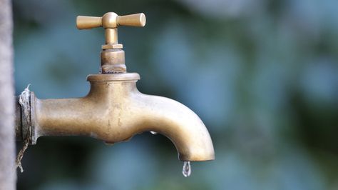 How can I fix a leaky outdoor faucet? Answers to your home questions Outdoor Faucet Repair, Garden Patch, Green Cottage, Frozen Pipes, Growing Tomatoes In Containers, Faucet Repair, Tossed Salad, Tomato Garden, Water Faucet