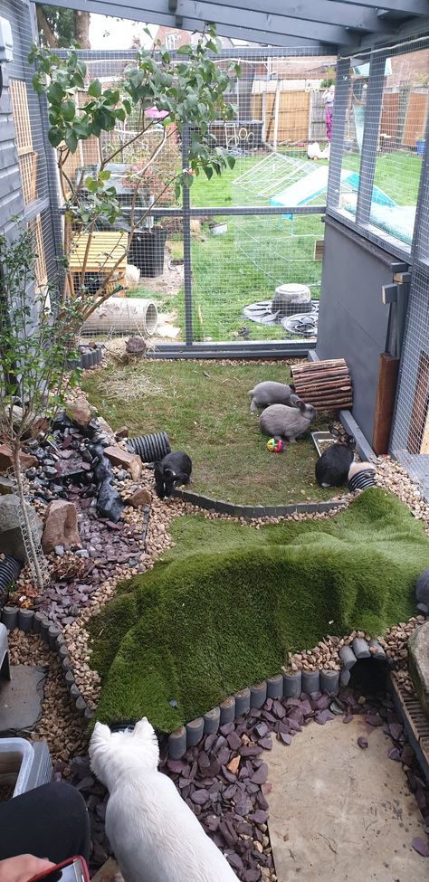 Outdoor Rabbit Run, Bunny Sheds, Rabbit Playground, Rabbit Cages Outdoor, Rabbit Shed, Small Horse Barns, Diy Rabbit Hutch, Rabbit Pen, Cat Playground Outdoor