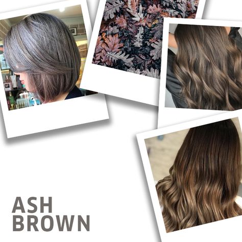 14 Ash Brown Hair Color Ideas and Formulas | Wella Professionals Ash Brown Formula Wella, Ash Brown Color Formula, Light Ash Brown Hair Color Formula, Wella Colour Touch Formula, Wella Ash Brown Formula, Ash Brown Hair Color Formula, Wella Ash Brown, Wella Formulas, Medium Ash Brown Hair