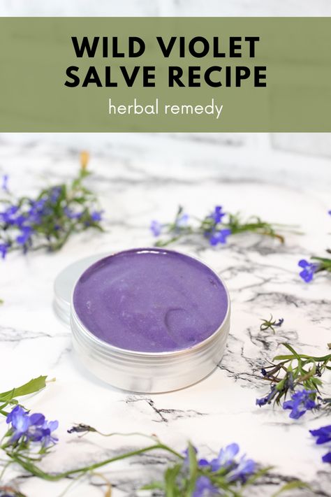 Dive into the world of natural skincare with our Wild Violet Salve recipe! Harness the healing power of herbs and create your own DIY salve for glowing skin. Discover the benefits of wild violets and embrace holistic wellness today. #WildVioletSalve #HerbalRemedies #DIYskincare Mullien Leaf Salve, Mullein Salve Recipe, Goldenrod Salve Recipe, Diy Salves And Balms, Violet Salve, Sage Salve, Diy Salve, Witchy Potions, Herbal Salve Recipes