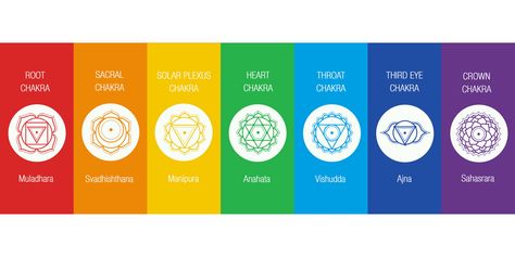 Chakras Images, Chakra Images, Chakras Explained, Second Chakra, Find Real Love, Law Of Karma, Transcendental Meditation, The Chakras, Energy Centers