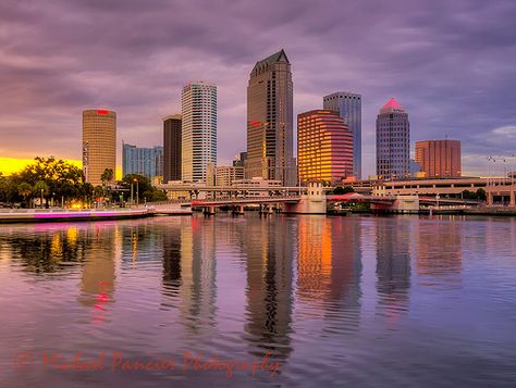 Tampa Skyline, Phone Widget, University Of Tampa, Linkedin Banner, Scenic Pictures, Urban Aesthetic, Home Of The Brave, Land Of The Free, 5 Image