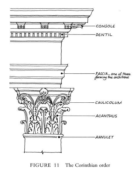 Corinthian order terminology Corinthian Order Sketch, Corinthian Order Drawing, Corinthian Order Architecture, Corinthian Order, Columns Decor, Corinthian Columns, Greece Architecture, Architectural Orders, Cornice Design