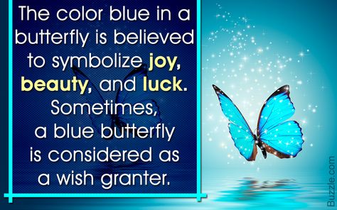 Butterflies have been mentioned in various poems, stories, and myths in various cultures. This Buzzle article explains the symbolic meaning of a blue butterfly. Blue Butterfly Meaning, Butterfly Spirit Animal, Butterfly Symbolism, Meaning Of Blue, Butterfly Meaning, Blue Butterfly Tattoo, Butterfly Tattoo Meaning, Animal Spirit Guides, Blue Morpho Butterfly