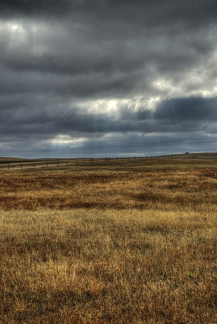 The Canadian prairies. Photo Wayne Stadler. Je veux voir ça un jour... Grass Mountain, American Plains, Green Concept, Canadian Prairies, Country Aesthetic, Canada Eh, Diorama Ideas, What A Beautiful World, Big Country