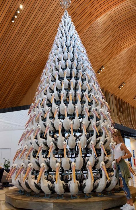 Amazing Christmas Trees Inspiration, Flower Dude, Unusual Christmas Trees, Amazing Christmas Trees, Coke Can, Big Christmas Tree, Pyramid Shape, Creative Christmas Trees, Alternative Christmas Tree