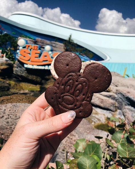 Yummy Mickey Mouse ice cream sandwich!!! Mickey Ice Cream, Disney Parque, Pop Century, Disney Treats, Room Tips, Disney Dining Plan, Cream Sandwich, Disney California Adventure, Disney Dining