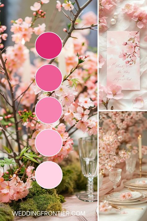 Cherry blossom wedding theme ideas for a delicate, springtime look. Blossom Wedding Theme, Pink Wedding Color Palette, Cherry Blossom Wedding Theme, Pink Wedding Colors, Wedding Theme Ideas, Cherry Blossom Wedding, Just A Dream, Wedding Palette, Wedding Color Palette