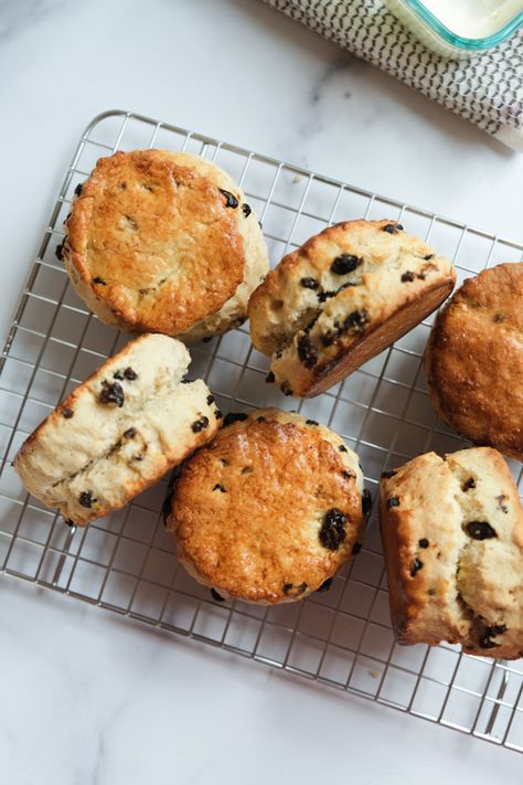 British Desserts Traditional, British Scones Recipe, Current Scones, Scones Blueberry, Food Polls, Blueberry Pumpkin, Currant Scones, Plain Scones, Date Scones